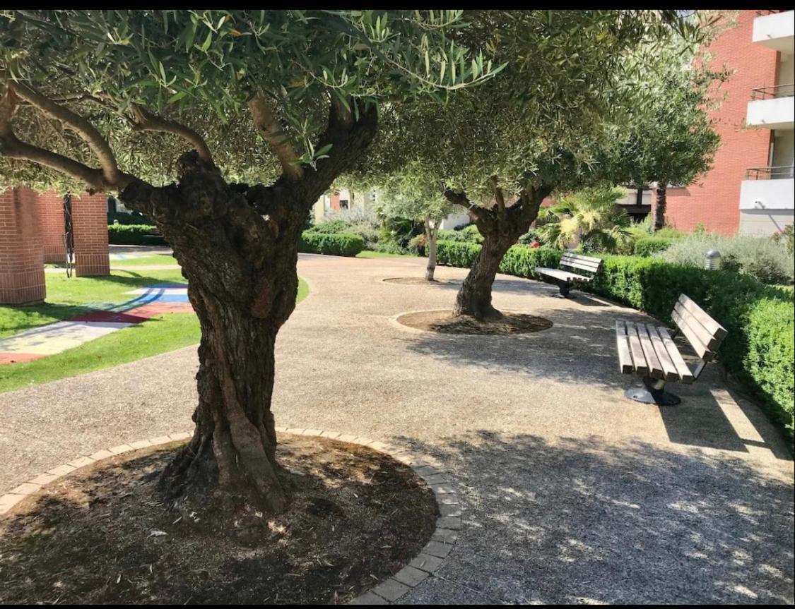 L Oasis Studio Proche Hopital Et Aeroport Piscine Parking &Netflix Τουλούζη Εξωτερικό φωτογραφία